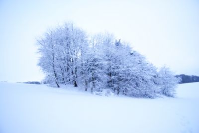 vinter 2010